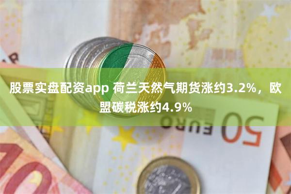 股票实盘配资app 荷兰天然气期货涨约3.2%，欧盟碳税涨约4.9%