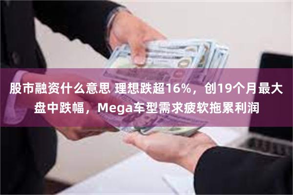 股市融资什么意思 理想跌超16%，创19个月最大盘中跌幅，Mega车型需求疲软拖累利润