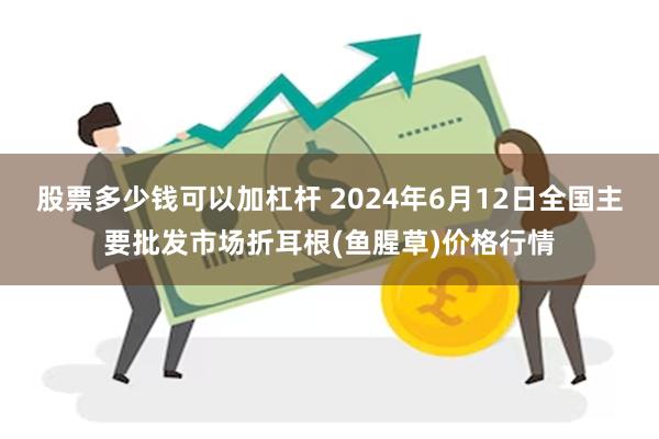 股票多少钱可以加杠杆 2024年6月12日全国主要批发市场折耳根(鱼腥草)价格行情