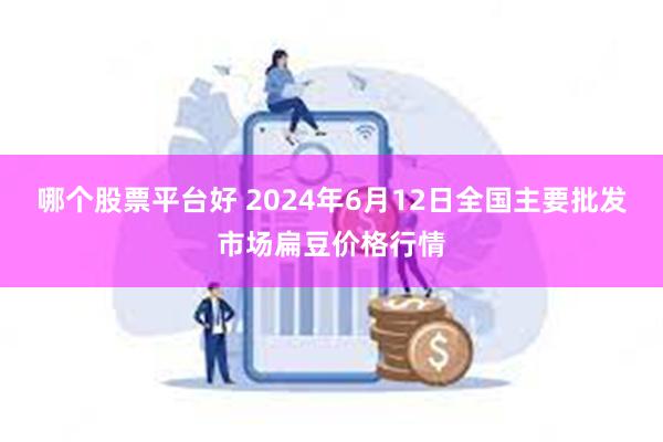 哪个股票平台好 2024年6月12日全国主要批发市场扁豆价格行情