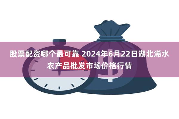 股票配资哪个最可靠 2024年6月22日湖北浠水农产品批发市场价格行情