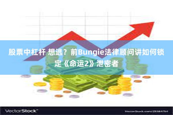 股票中杠杆 想逃？前Bungie法律顾问讲如何锁定《命运2》泄密者