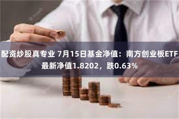 配资炒股真专业 7月15日基金净值：南方创业板ETF最新净值1.8202，跌0.63%