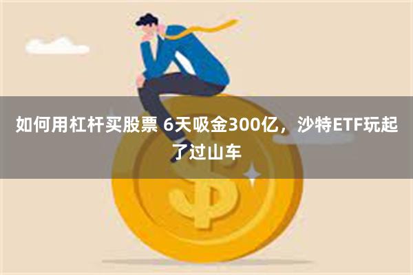 如何用杠杆买股票 6天吸金300亿，沙特ETF玩起了过山车