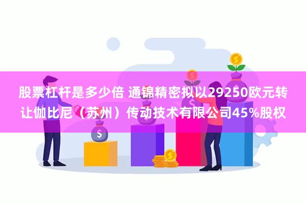 股票杠杆是多少倍 通锦精密拟以29250欧元转让伽比尼（苏州）传动技术有限公司45%股权