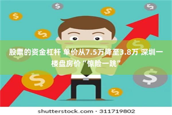 股票的资金杠杆 单价从7.5万降至3.8万 深圳一楼盘房价“惊险一跳”