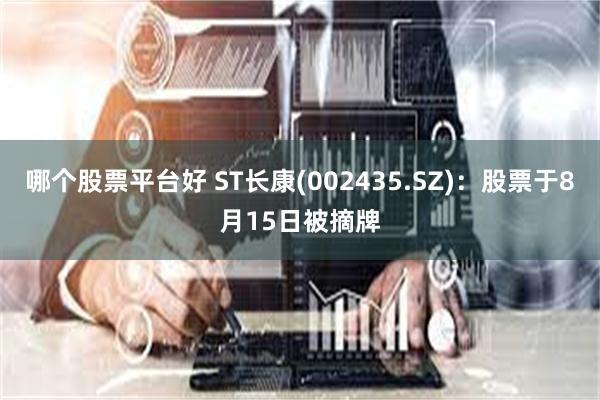 哪个股票平台好 ST长康(002435.SZ)：股票于8月15日被摘牌