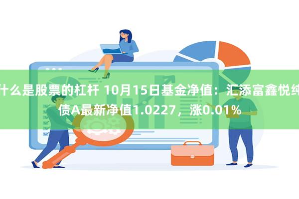 什么是股票的杠杆 10月15日基金净值：汇添富鑫悦纯债A最新净值1.0227，涨0.01%