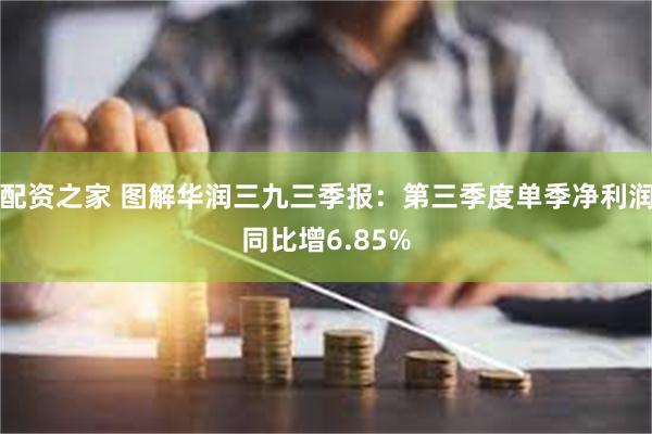 配资之家 图解华润三九三季报：第三季度单季净利润同比增6.85%