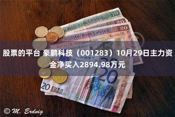 股票的平台 豪鹏科技（001283）10月29日主力资金净买入2894.98万元