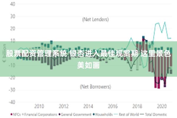 股票配资管理系统 银杏进入最佳观赏期 这里景色美如画