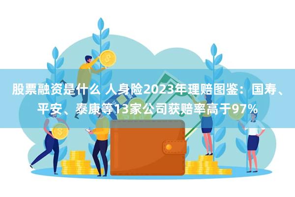 股票融资是什么 人身险2023年理赔图鉴：国寿、平安、泰康等13家公司获赔率高于97%