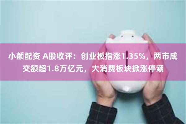 小额配资 A股收评：创业板指涨1.35%，两市成交额超1.8万亿元，大消费板块掀涨停潮