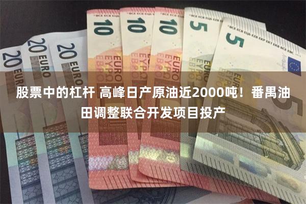 股票中的杠杆 高峰日产原油近2000吨！番禺油田调整联合开发项目投产