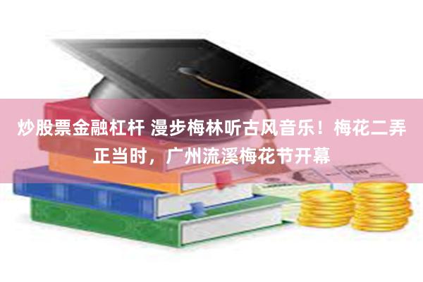 炒股票金融杠杆 漫步梅林听古风音乐！梅花二弄正当时，广州流溪梅花节开幕