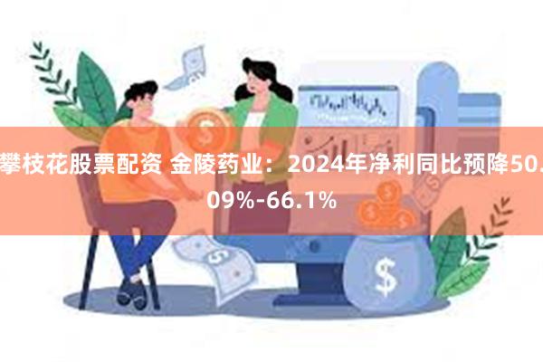 攀枝花股票配资 金陵药业：2024年净利同比预降50.09%-66.1%