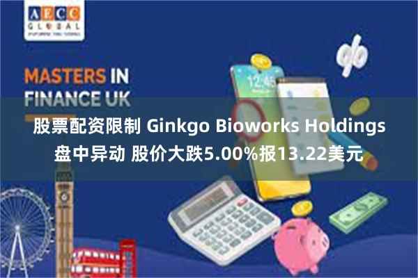 股票配资限制 Ginkgo Bioworks Holdings盘中异动 股价大跌5.00%报13.22美元