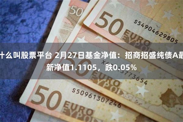 什么叫股票平台 2月27日基金净值：招商招盛纯债A最新净值1.1105，跌0.05%